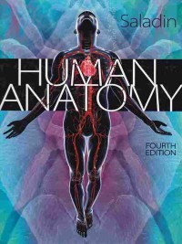 Human Anatomy